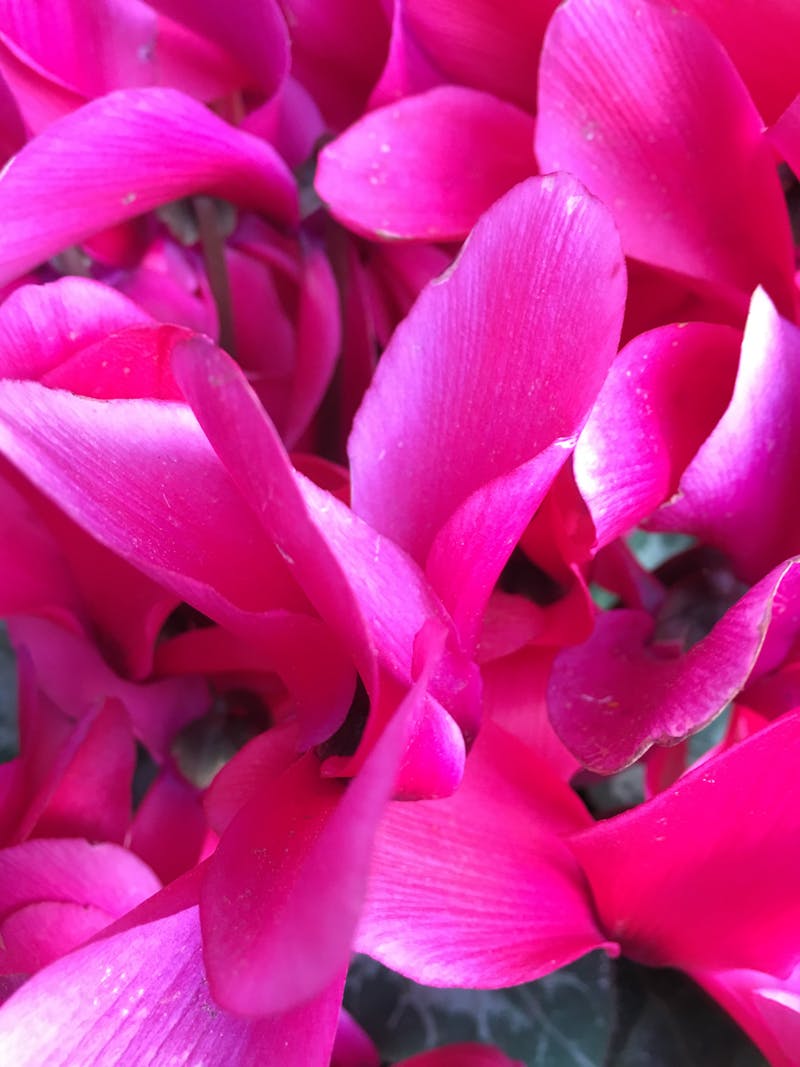 Speedometer and fast-moving car for speed calculation